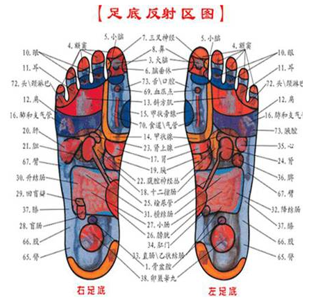 快灸人口_文玩 七绝名诗一百首 全5册,收入诗人300多家,作品500多首,脍灸人口的(2)